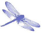 dragonfly-140x110